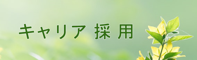 日本電商 キャリア採用